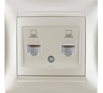 Розетка TDM ELECTRIC компьютерная двойная RJ45 перламутр Лама TDM SQ1815-0855
