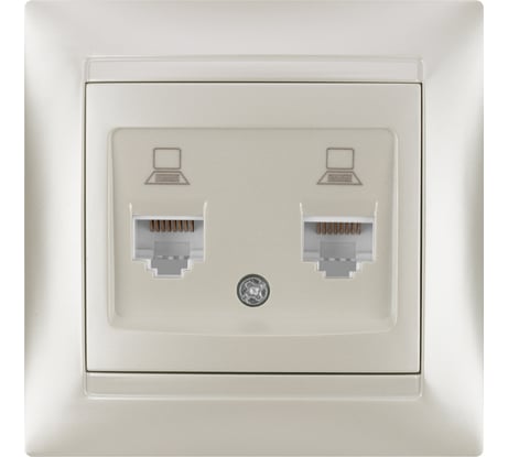 Розетка TDM ELECTRIC компьютерная двойная RJ45 перламутр Лама TDM SQ1815-0855