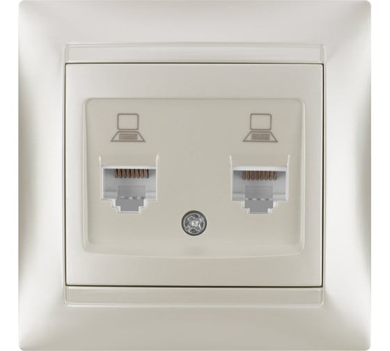 Розетка TDM ELECTRIC компьютерная двойная RJ45 перламутр Лама TDM SQ1815-0855