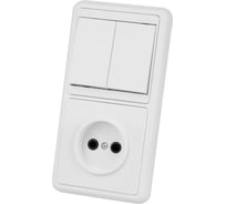 Блок комбинированный TDM ELECTRIC БКВР 2-х кл. выкл + розетка TDM SQ1813-0011