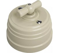 Выключатель пластиковый перекрестный МЕЗОНИНЪ наружней установки, цвет - слон.кость GE30406-02