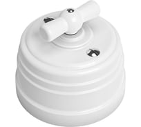 Выключатель пластиковый перекрестный МЕЗОНИНЪ наружней установки, цвет - белый GE30406-01