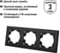 Рамка TDM ELECTRIC 3-х постовая черная Сенеж TDM SQ1816-0331 4