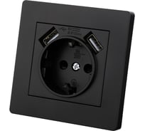 Розетка TDM ELECTRIC 2П+З 16А 250В + 2 USB порта 2,1А 5В черная Сенеж TDM SQ1816-0283