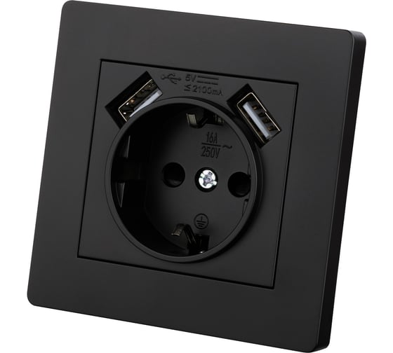 Розетка TDM ELECTRIC 2П+З 16А 250В + 2 USB порта 2,1А 5В черная Сенеж TDM SQ1816-0283