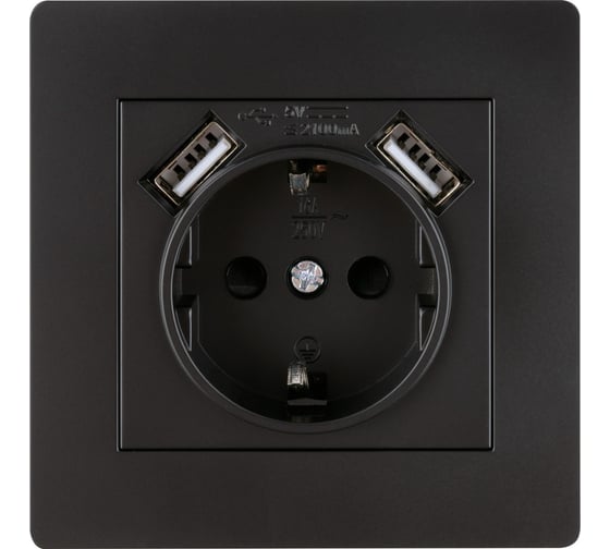 Розетка TDM ELECTRIC 2П+З 16А 250В + 2 USB порта 2,1А 5В черная Сенеж TDM SQ1816-0283