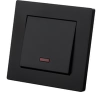 Выключатель TDM ELECTRIC 1 клавишный с подсветкой 10А черный Сенеж TDM SQ1816-0304