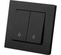 Выключатель TDM ELECTRIC на 2 направления 2 клавишный 10А черный Сенеж TDM SQ1816-0307