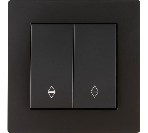Выключатель TDM ELECTRIC на 2 направления 2 клавишный 10А черный Сенеж TDM SQ1816-0307