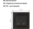 Выключатель TDM ELECTRIC на 2 направления 2 клавишный 10А черный Сенеж TDM SQ1816-0307 3