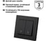 Выключатель TDM ELECTRIC на 2 направления 2 клавишный 10А черный Сенеж TDM SQ1816-0307 4