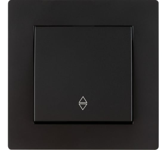 Выключатель TDM ELECTRIC на 2 направления 1 клавишный 10А черный Сенеж TDM SQ1816-0306