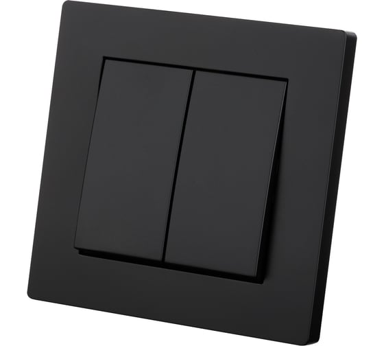 Выключатель TDM ELECTRIC 2-х клавишный 10А черный Сенеж TDM SQ1816-0302
