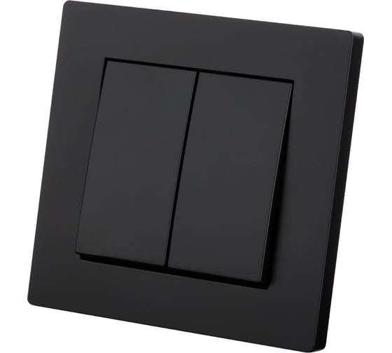 Выключатель TDM ELECTRIC 2-х клавишный 10А черный Сенеж TDM SQ1816-0302 1