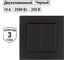 Выключатель TDM ELECTRIC 2-х клавишный 10А черный Сенеж TDM SQ1816-0302 2