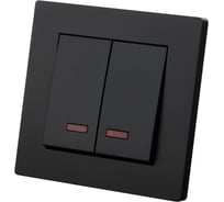 Выключатель TDM ELECTRIC 2 клавишный с подсветкой 10А черный Сенеж TDM SQ1816-0305