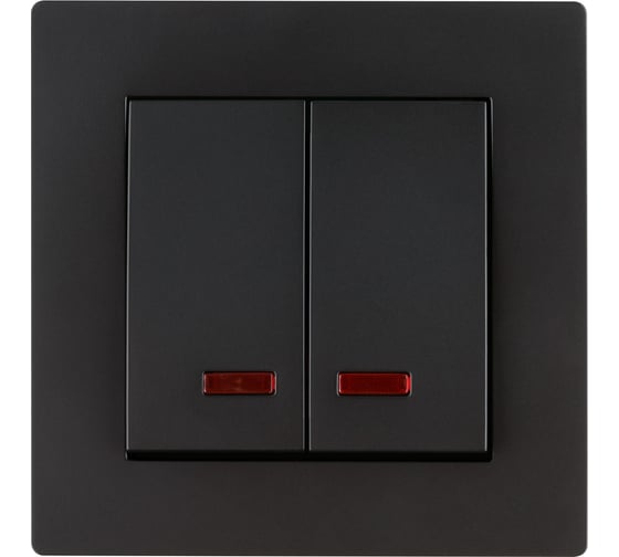 Выключатель TDM ELECTRIC 2 клавишный с подсветкой 10А черный Сенеж TDM SQ1816-0305
