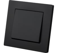 Выключатель TDM ELECTRIC 1 клавишный 10А черный Сенеж TDM SQ1816-0301