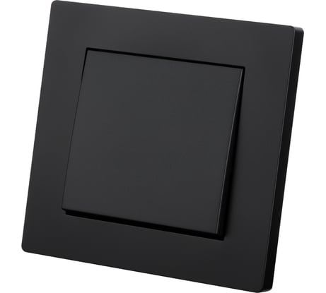 Выключатель TDM ELECTRIC 1 клавишный 10А черный Сенеж TDM SQ1816-0301