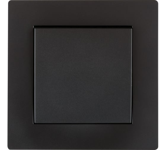 Выключатель TDM ELECTRIC 1 клавишный 10А черный Сенеж TDM SQ1816-0301