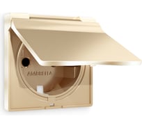 Лицевая панель Ambrella VOLT для электрической розетки с заземлением со шторками и крышкой, IP44, ALFA AP6080