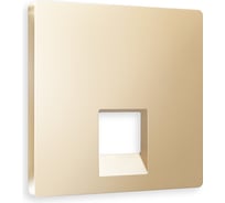 Лицевая панель Ambrella VOLT для компьютерной/телефонной розетки RJ-45/RJ-11 ALFA AP6120