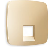 Лицевая панель Ambrella VOLT для компьютерной/телефонной розетки RJ-45/RJ-11 OMEGA OP6120