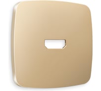 Лицевая панель Ambrella VOLT для HDMI розетки OMEGA OP6140