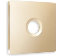 Лицевая панель Ambrella VOLT для TV розетки ALFA AP6130