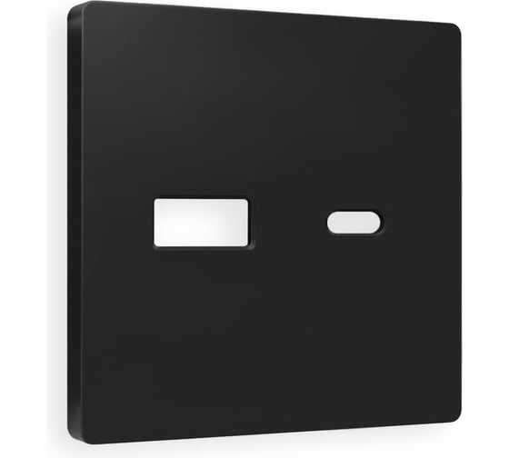 Лицевая панель Ambrella VOLT для розетки 2USB тип A+C ALFA AP8110