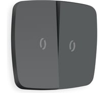 Лицевая панель для 2-клавишных выключателей с подстветкой Ambrella VOLT OMEGA OP9040