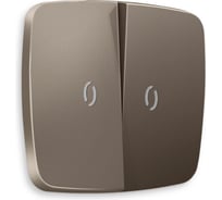 Лицевая панель для 2-клавишных выключателей с подстветкой Ambrella VOLT OMEGA OP6340