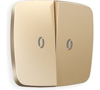 Лицевая панель для 2-клавишных выключателей с подстветкой Ambrella VOLT OMEGA OP6040