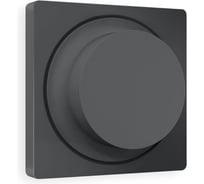 Лицевая панель Ambrella VOLT для светорегулятора универсального ALFA AP9055