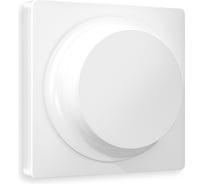 Лицевая панель Ambrella VOLT для светорегулятора универсального ALFA AP1055