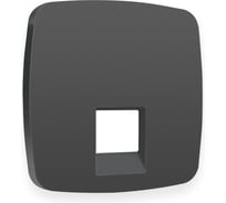 Лицевая панель Ambrella VOLT для компьютерной/телефонной розетки RJ-45/RJ-11 OMEGA OP9120