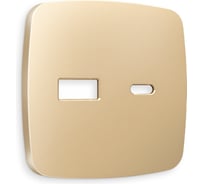 Лицевая панель Ambrella VOLT для розетки 2USB тип A+C OMEGA OP6110