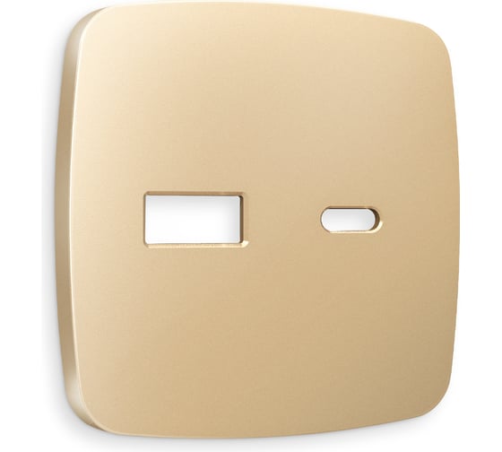 Лицевая панель Ambrella VOLT для розетки 2USB тип A+C OMEGA OP6110 1