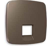 Лицевая панель Ambrella VOLT для компьютерной/телефонной розетки RJ-45/RJ-11 OMEGA OP6420