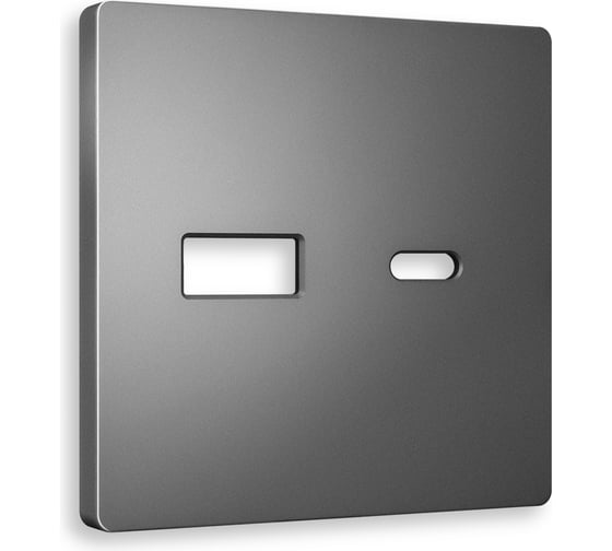 Лицевая панель Ambrella VOLT для розетки 2USB тип A+C ALFA AP6610 1