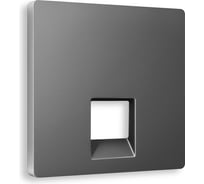 Лицевая панель Ambrella VOLT для компьютерной/телефонной розетки RJ-45/RJ-11 ALFA AP6620