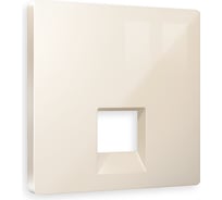 Лицевая панель Ambrella VOLT для компьютерной/телефонной розетки RJ-45/RJ-11 ALFA AP3120