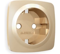 Лицевая панель Ambrella VOLT для электрической розетки с заземлением OMEGA OP6060
