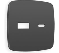 Лицевая панель Ambrella VOLT для розетки 2USB тип A+C OMEGA OP9110