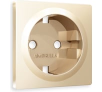 Лицевая панель Ambrella VOLT для электрической розетки с заземлением ALFA AP6060