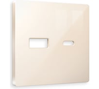 Лицевая панель Ambrella VOLT для розетки 2USB тип A+C ALFA AP3110