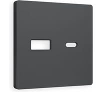 Лицевая панель Ambrella VOLT для розетки 2USB тип A+C ALFA AP9110