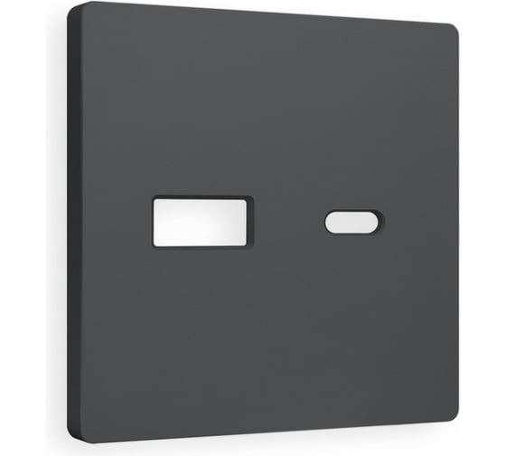Лицевая панель Ambrella VOLT для розетки 2USB тип A+C ALFA AP9110 1