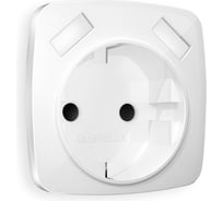 Лицевая панель Ambrella VOLT для розетки с заземлением со шторками 2USB тип A+A OMEGA OP1090