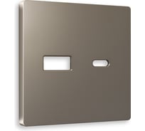 Лицевая панель Ambrella VOLT для розетки 2USB тип A+C ALFA AP6410